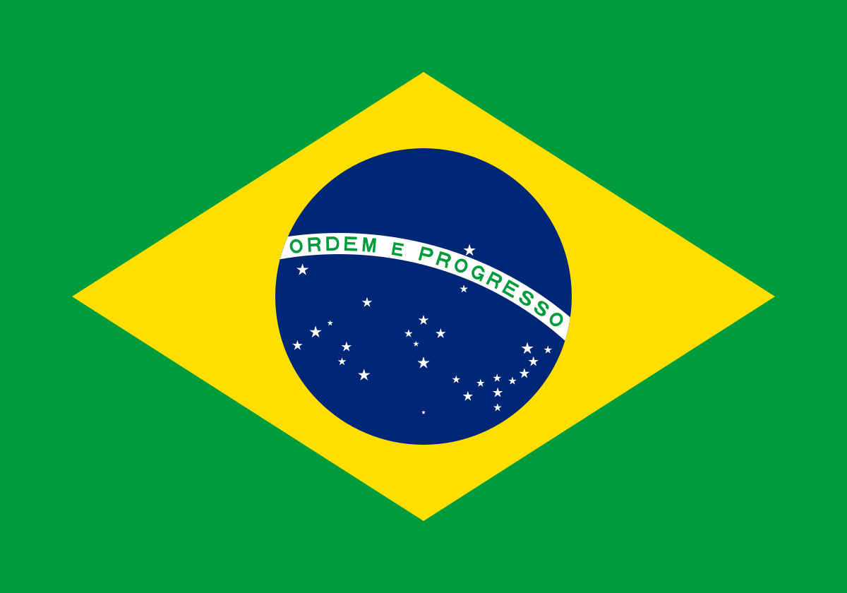 18-express-markets-inc-brazillian-flag