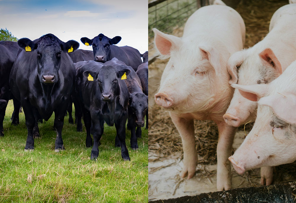 22-express-markets-inc